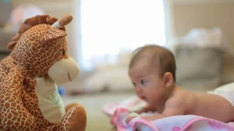 Baby Doing Tummy Time with Stuffed Animal on Floor Stock Footage 91144367