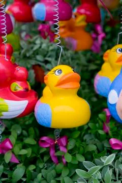 Baby Duck Flower Pot Baked Clay Stock Photos