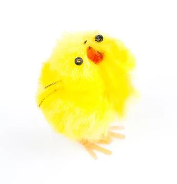 Baby easter chicken Stock Photos