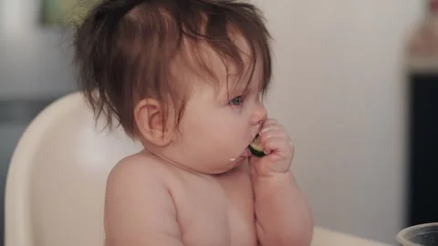 Baby Eating Cucumber First Solid Food Chewing and Exploring Taste at Home 库存影片 336166965