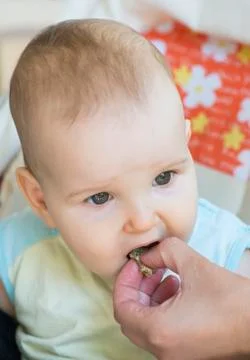 Baby eats alone. Stock Photos