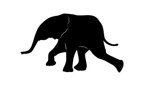 Baby elephant Stock Illustration