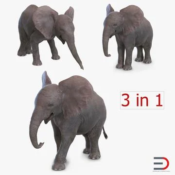 Baby Elephants Collection 3D Model