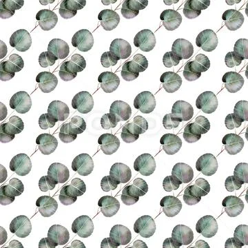 Baby Eucalyptos Pattern PSD Template