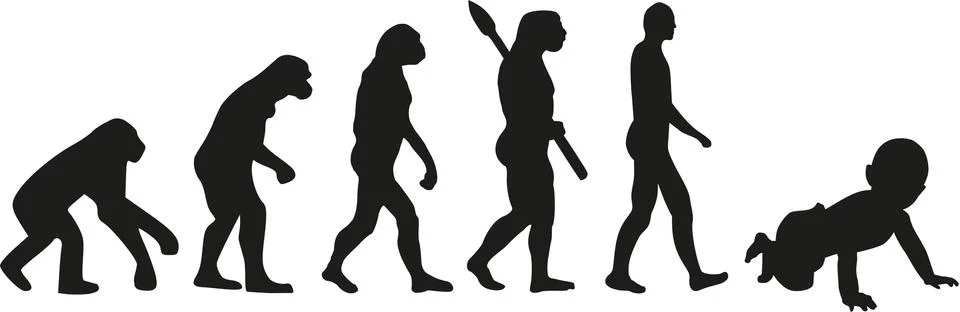 Baby evolution 库存插图