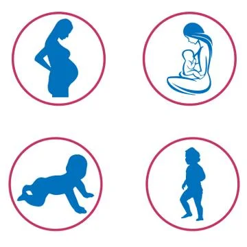 Baby evolution Stock Illustration