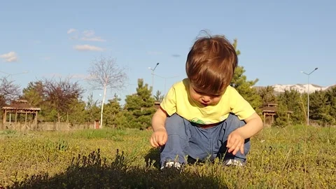 Baby exploring the texture of grass. Child playing in the garden childhood Video stock 287109758