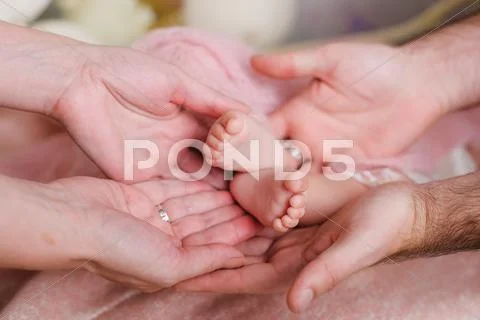 Baby feet in father and mother hands Stock Photos