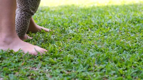 Baby first steps on grass Stock Footage 73486770