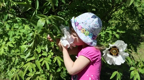 Baby with a flower Stock Footage 59139469