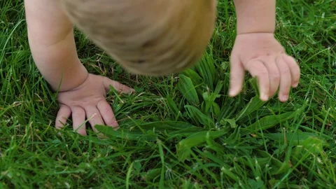 Baby Green Grass Stock Footage 283562502