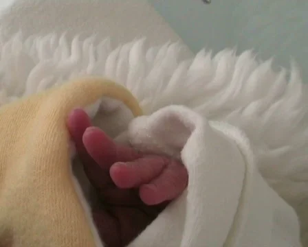 Baby Hand 库存影片 360174