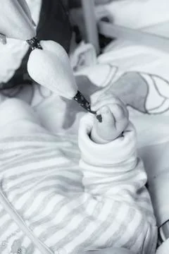Baby Hands Stock Photos