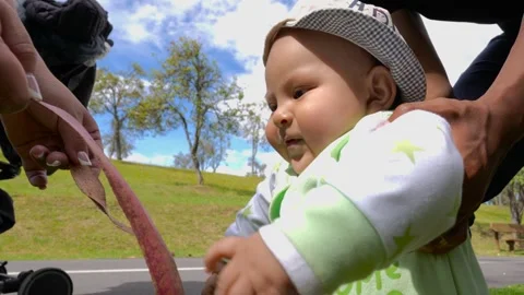Baby learning to walk reaching for leaf held by parent 스톡 동영상 312100837