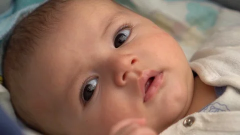 The baby is looking attentively at the camera. Stock Footage 106677553