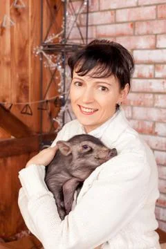 A baby mini-pig and beautiful woman near Christmas Tree, symbolizing the Stock Photos
