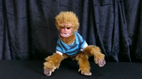 Baby mongky puppet Stock Footage 68023633