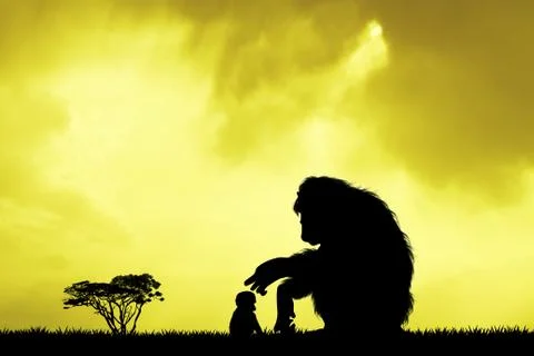 Baby monkey at sunset Stock Photos