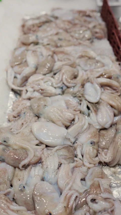 Baby octopus piled high on ice, ready for sale at a seafood market display, Stock-Footage 343334017