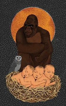 Baby Owl Illustrazione stock
