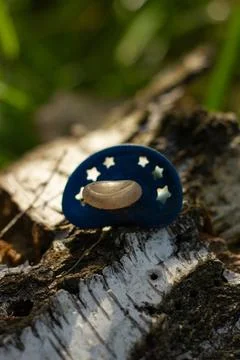 Baby pacifier forgotten Fotos Stock