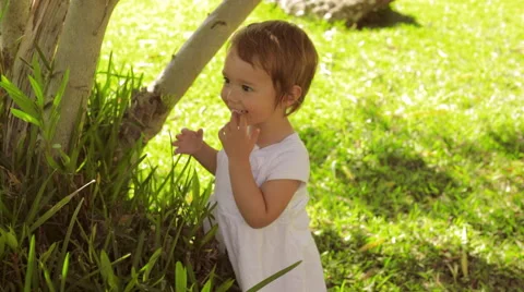 Baby in park Stock Footage 43619357