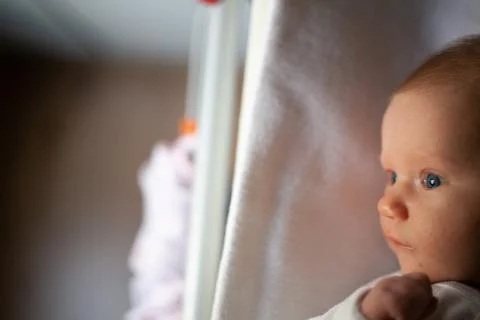 Baby Stock Photos