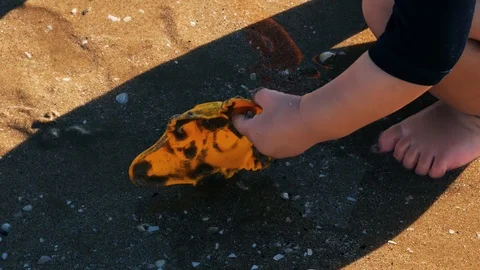 A baby playing on the beach Video stock 123386680