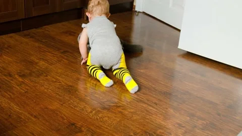 Baby is playing with the cat. Selective focus. Stock Footage 170147002