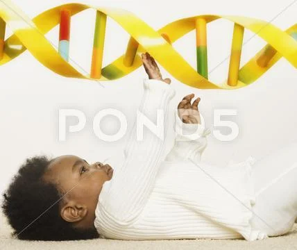 Baby playing with a DNA strand Stock Photos