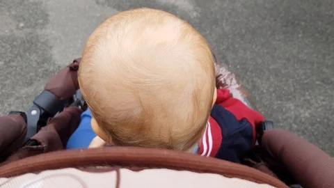 Baby in a pram Stock Footage 102324986