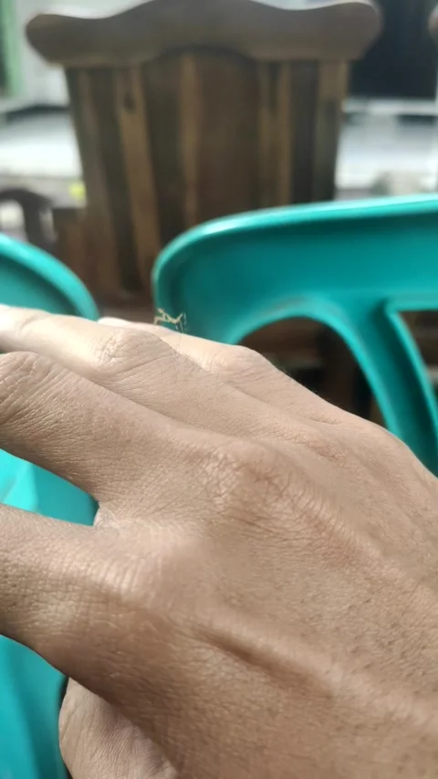 Baby Praying Mantis in Hand Stock Footage 307810054