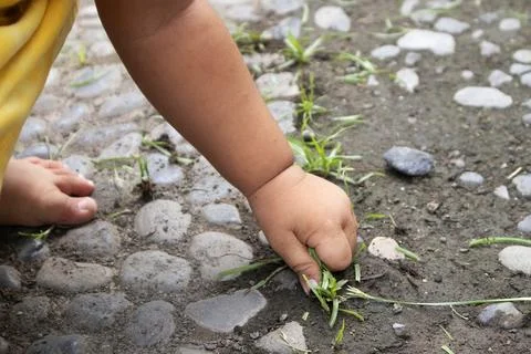 Baby Pulling Grass Stock Photos