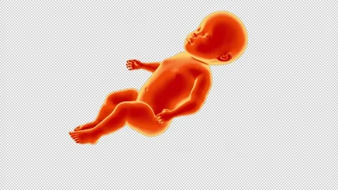 Baby rotating -  3d render looped with alpha channel. Stock Footage 167490292