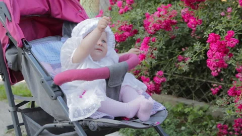 Baby sitting in stroller Video stock 300335135