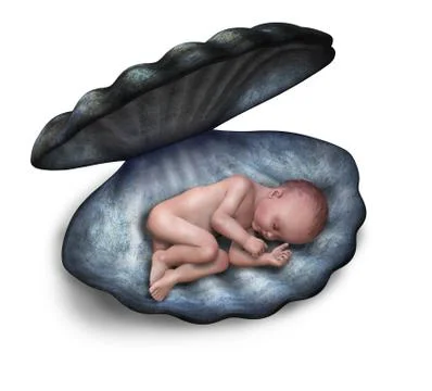 Baby Sleeping in a Seashell 스톡 일러스트