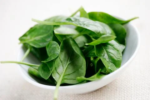 Baby spinach 스톡 사진
