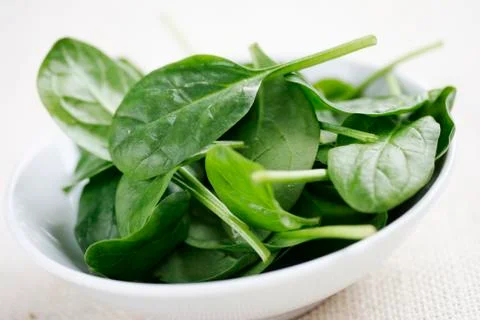 Baby spinach Stock Photos