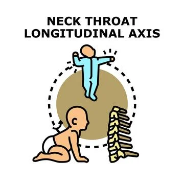 Baby spine development and posture concept Stock Illustration