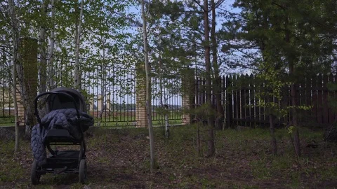 Baby in stroller in the evening Stock Footage 90556778