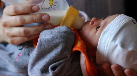 Baby Suckle Stock Footage 36502359