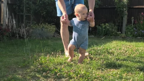 Baby takes first steps in grass. Dady Father walks with son in nature kid dream Stock Footage 247671053