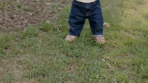 Baby taking first steps in grassy field, holding adults hand for support Video stock 315183423