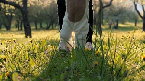 Baby taking first steps in sunny meadow wearing kids costume Video stock 306060657