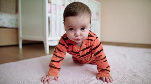Baby in tiger clothes doing push ups with audio Stock Footage 83611423