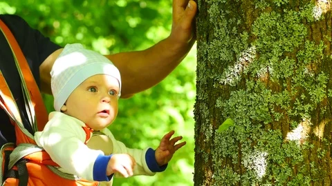 Baby touching the tree Experiencing new emotions Video stock 76845107