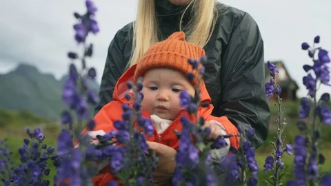 Baby touching violet flowers walking with mother family lifestyle Stock Footage 123770881