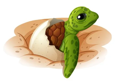 Baby turtle coming out of shell Stock Illustration