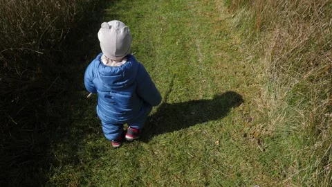 Baby walking along pathway Stock Footage 322199817