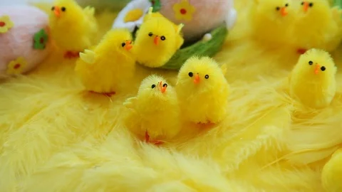 Baby yellow Easter toys chicks and eggs on a background of feathers. Stock Footage 87463524